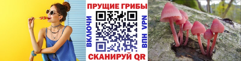 Псилоцибиновые грибы мухоморы  цена наркотик  Ува 