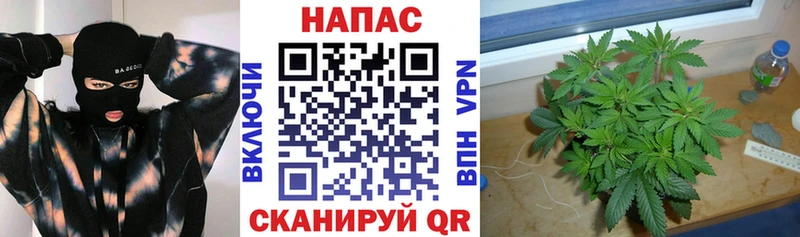 закладки  Ува  Конопля White Widow 